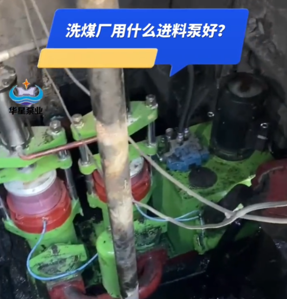 洗煤廠壓濾機用什么進料泵好